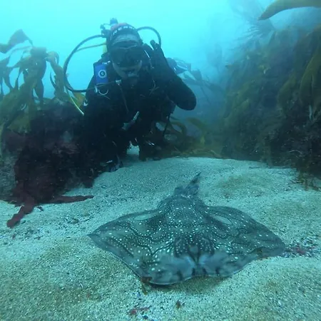 Rincon De Sira * ثي