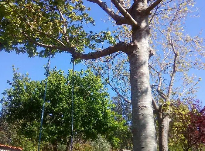 Rincon De Sira Kır Evi