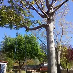 Rincon De Sira 컨트리하우스