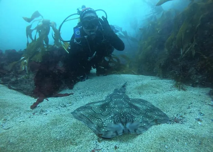 Rincon De Sira * Cee